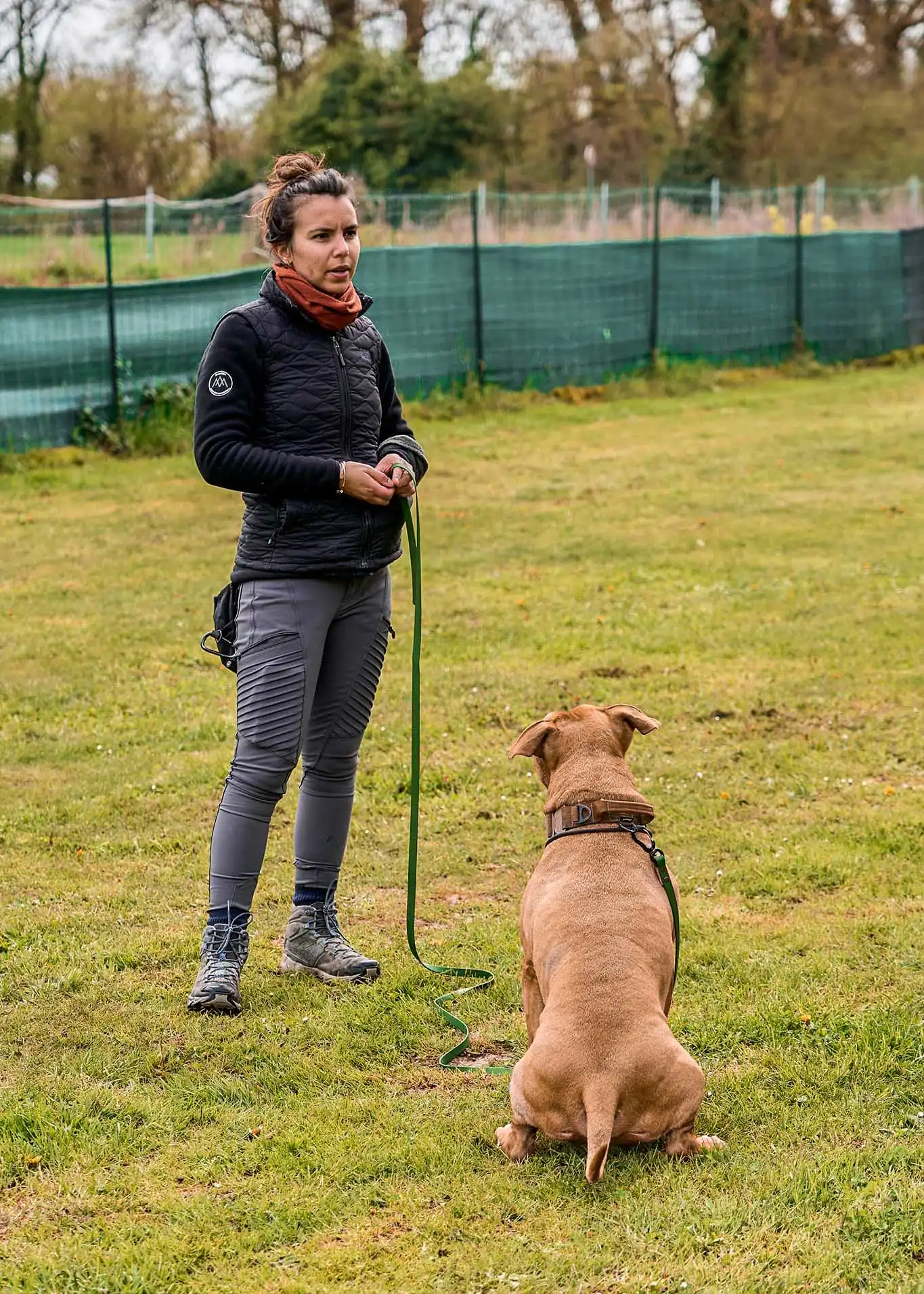educateur canin qui analyse le comportement d'un chien