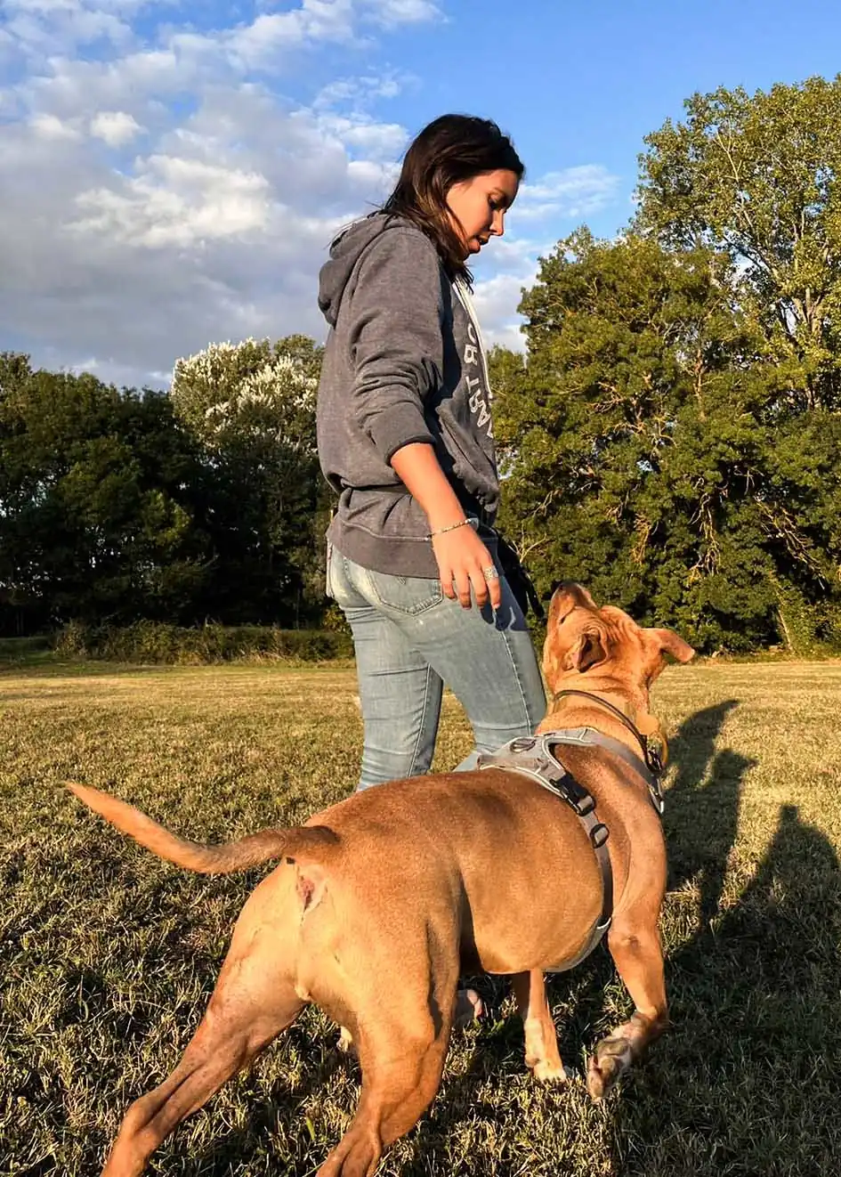 educateur canin qui reeduque un chien